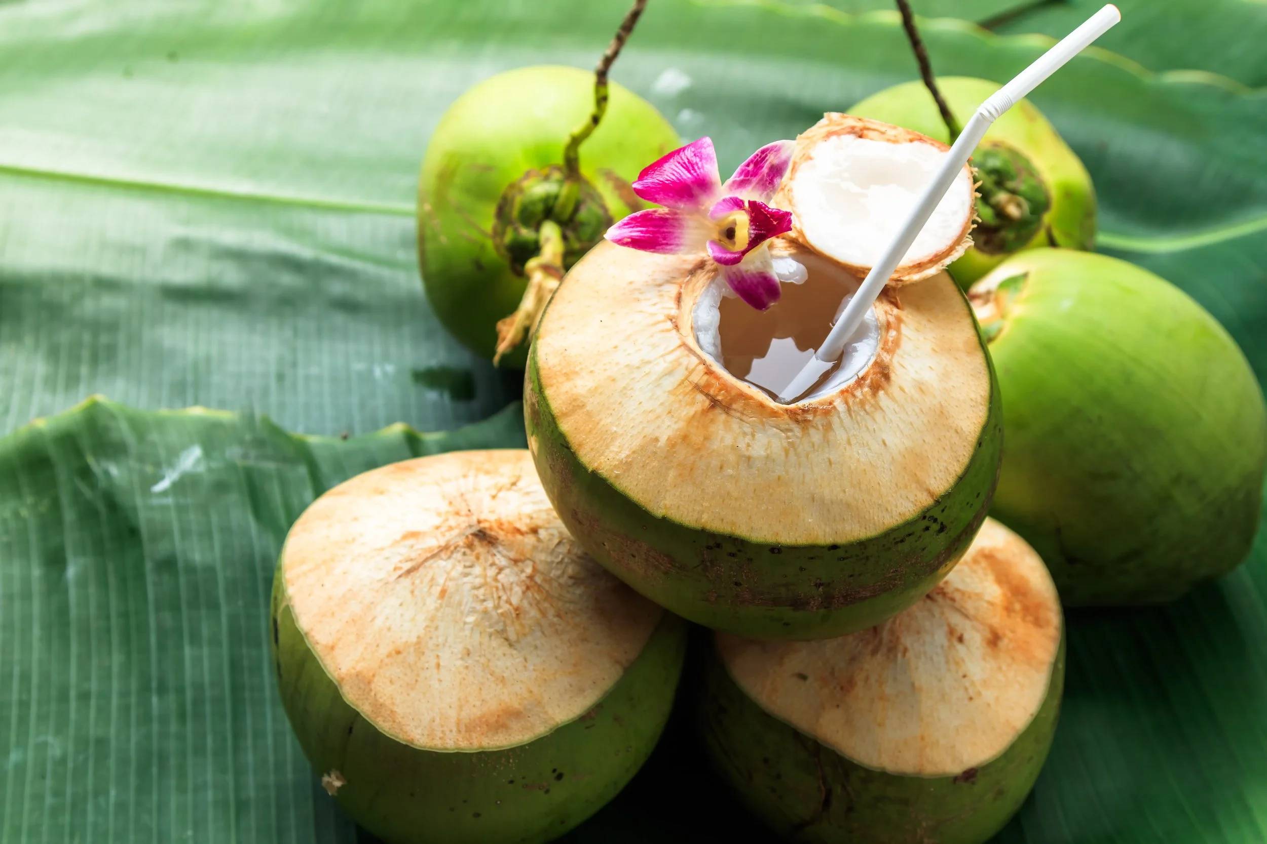 Dừa tươi (fresh coconut)